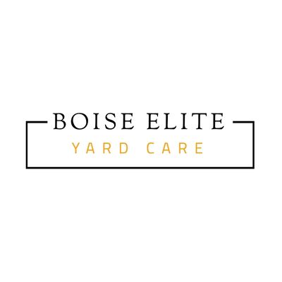 Boise Elite Logo